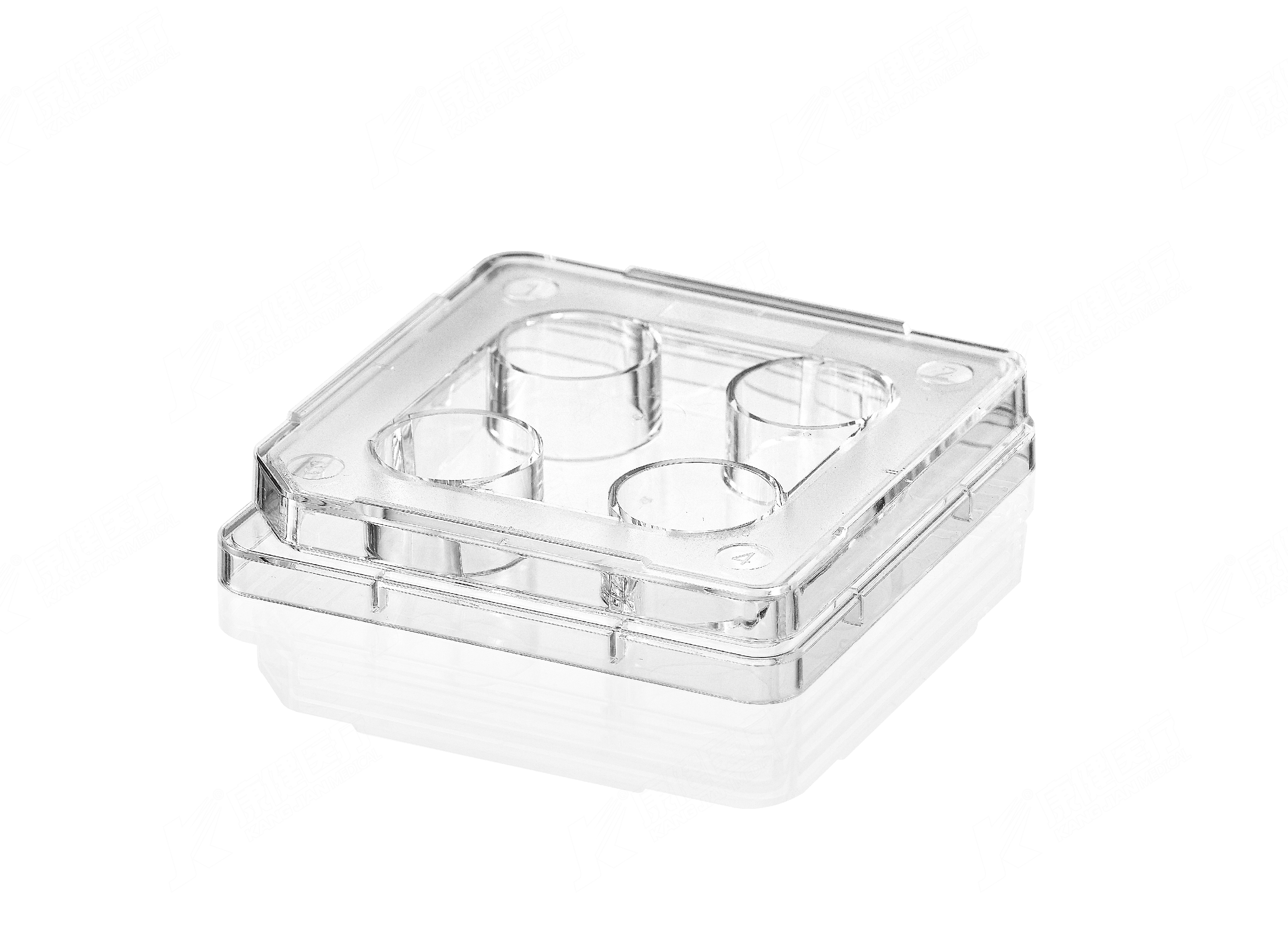 IVF 4孔培养皿
